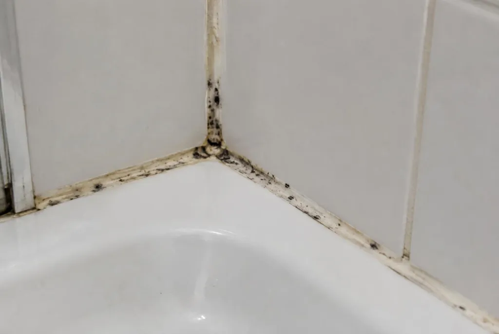 Kitbedrijf Heino – mouldy sealant